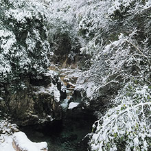 鈍川温泉郷特別賞：渓谷の雪景色