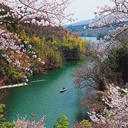 佳作：玉川湖畔の春景