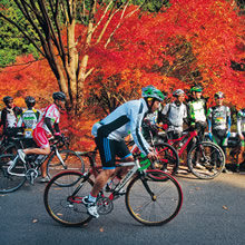 (公社)今治地方観光協会会長賞：錦秋のサイクルロード