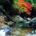 佳作：秋の鈍川渓谷