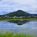 奨励賞：笠松山の初夏