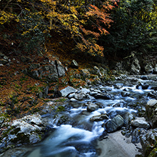 鈍川温泉郷特別賞：晩秋の鈍川渓谷