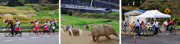 日の浦地区「わらししアート」付近