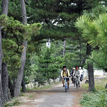 白砂海岸サイクリングコース 白砂海岸サイクリングコース