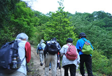 鈍川せせらぎトレッキング 鈍川せせらぎトレッキング
