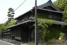 小島散策コース 小島散策コース