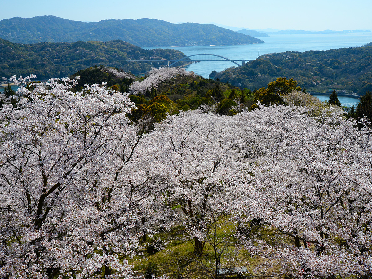 開山