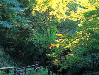 えひめの自然百選・歌仙公園