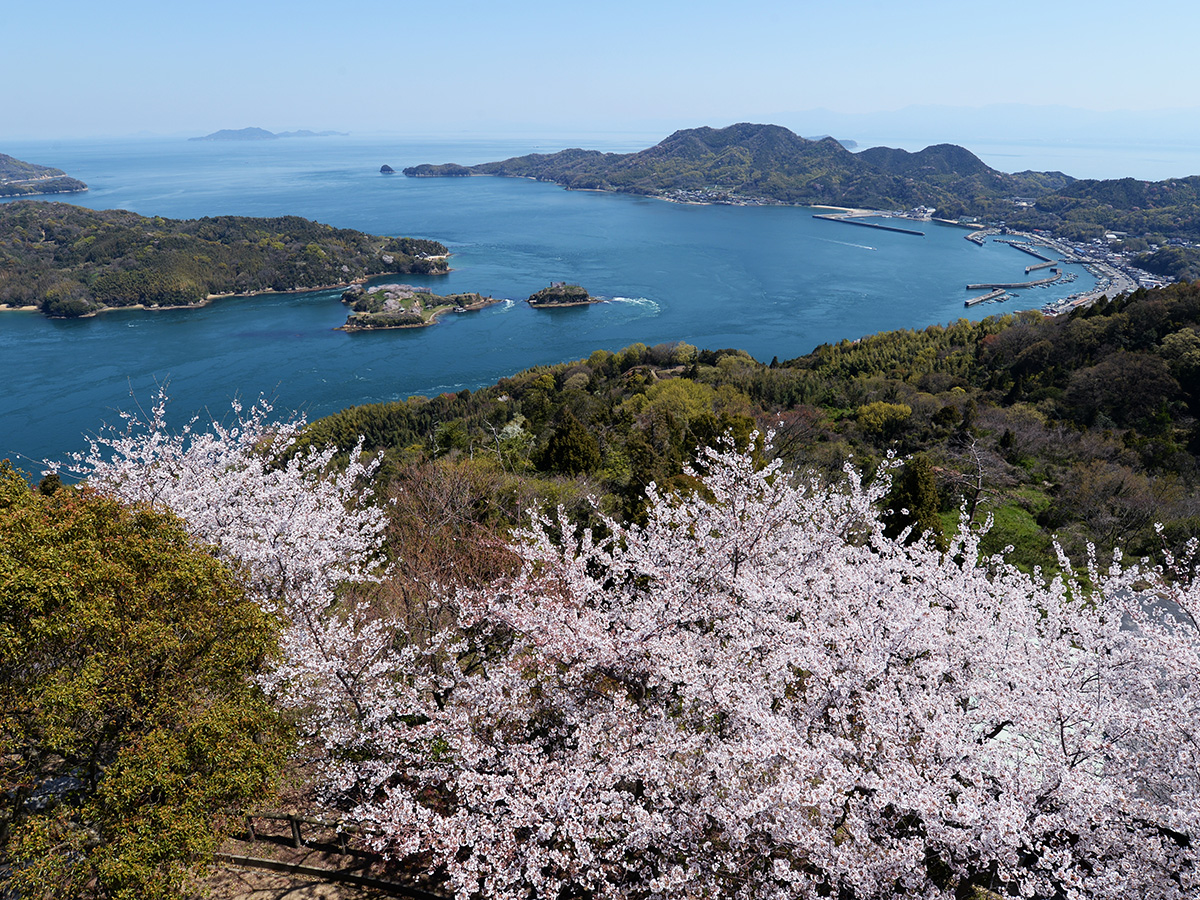 能島城跡