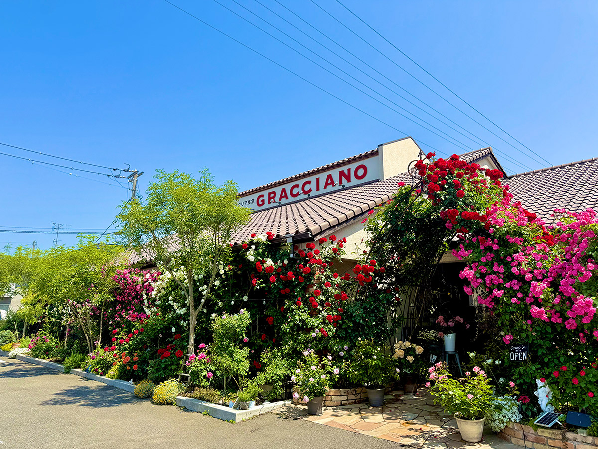 欧風イタリア食堂 グラッチャーノ